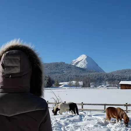Gaestehaus Nocker Seefeld in Tirol