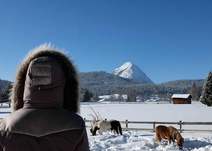 Gaestehaus Nocker Seefeld in Tirol
