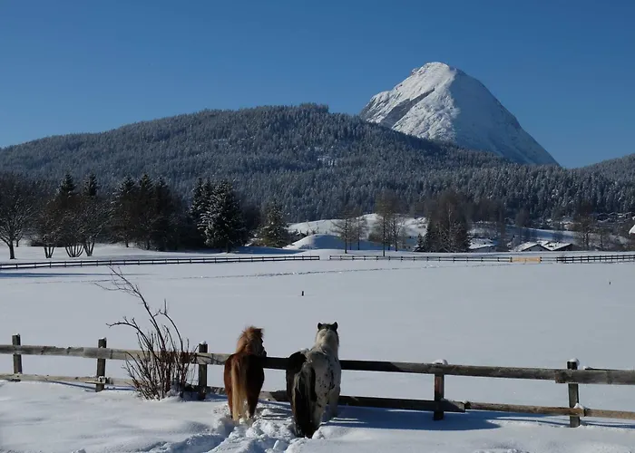 Apartmán Gaestehaus Nocker